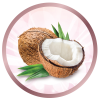 Microacondicionadores de coco.