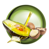 Icono de Secadores con tecnología de aguacate y macadamia